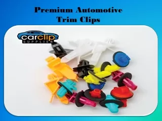 Premium Automotive Trim Clips