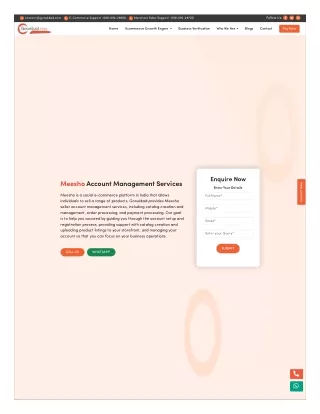 Meesho Seller Account Management Services