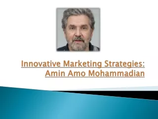 Innovative Marketing Strategies - Amin Amo Mohammadian
