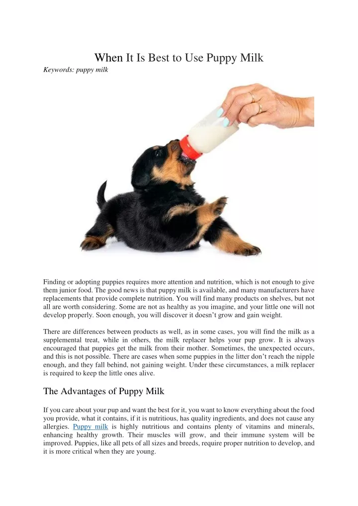 when it is best to use puppy milk keywords puppy