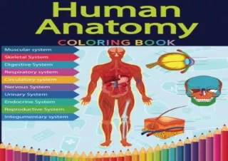 Download Book [PDF] Human Anatomy Coloring Book: All Human Body Systems With Ove