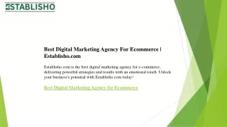 Best Digital Marketing Agency For Ecommerce  Establisho.com