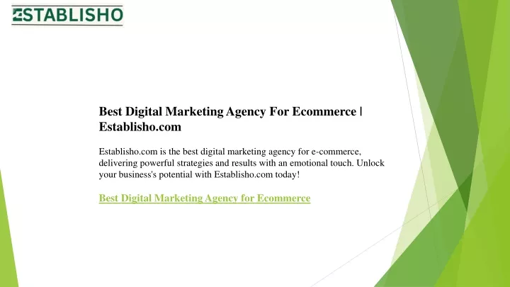 best digital marketing agency for ecommerce