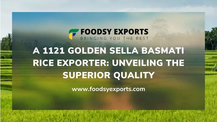 a 1121 golden sella basmati rice exporter