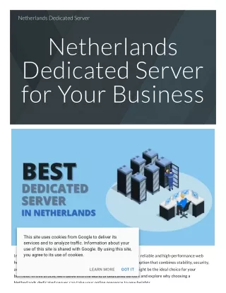 Netherlands Dedicated Servers: A Business Game-Changer