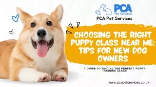 Choosing the Right Puppy Class Near Me Tips for New Dog Owners