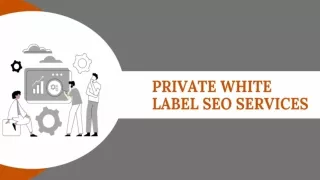 Private White Label SEO Dervices - In2SEO