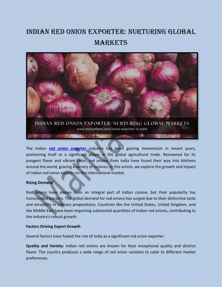 indian red onion exporter nurturing global markets