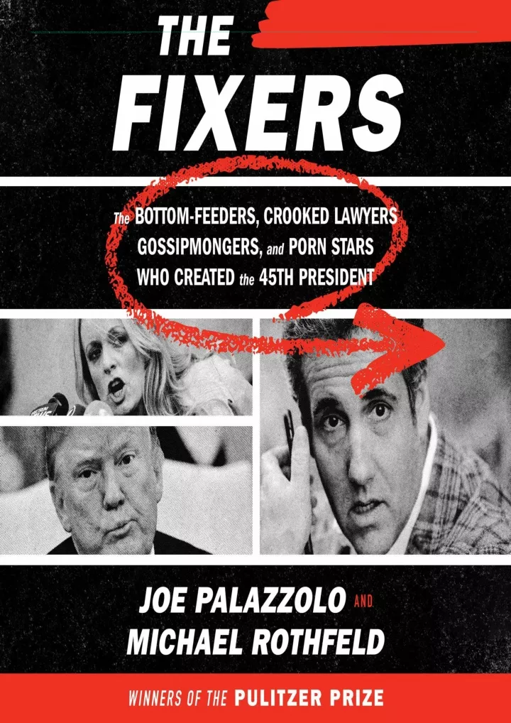 the fixers the bottom feeders crooked lawyers