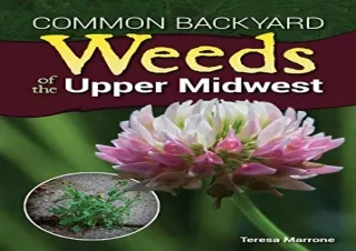 READ [PDF] Common Backyard Weeds of the Upper Midwest