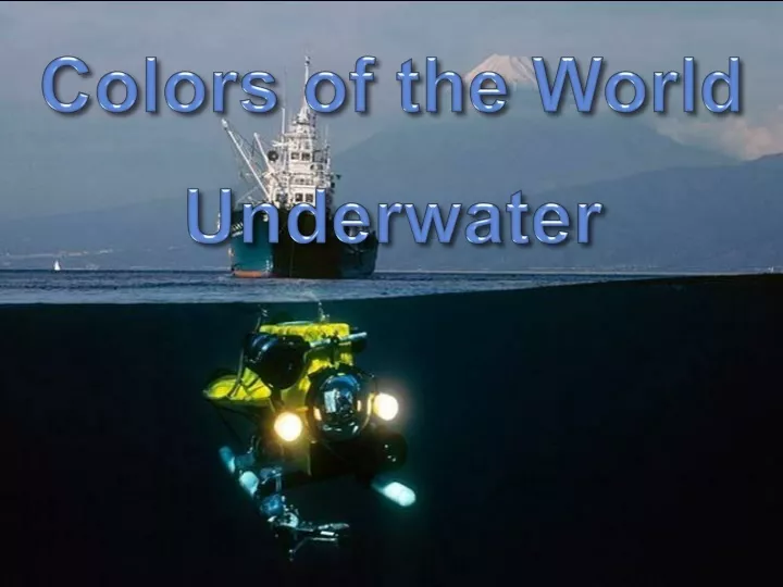 colors of the world underwater