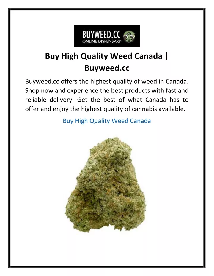 buy high quality weed canada buyweed cc