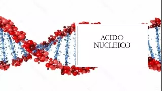 ACIDO NUCLEICO EXPO PDF