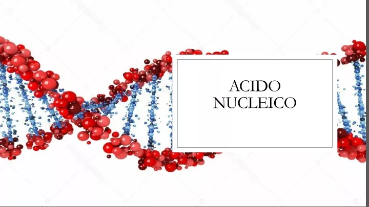acido nucleico