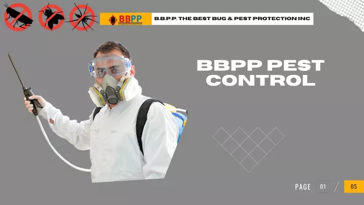 b b p p the best bug pest protection inc