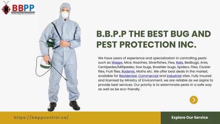 b b p p the best bug and pest protection inc