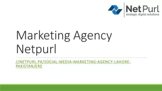 Marketing Agency Netpurl