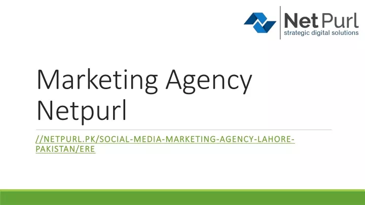 marketing agency netpurl