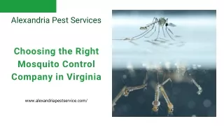 Choosing the Right Mosquito Control Company in Virginia