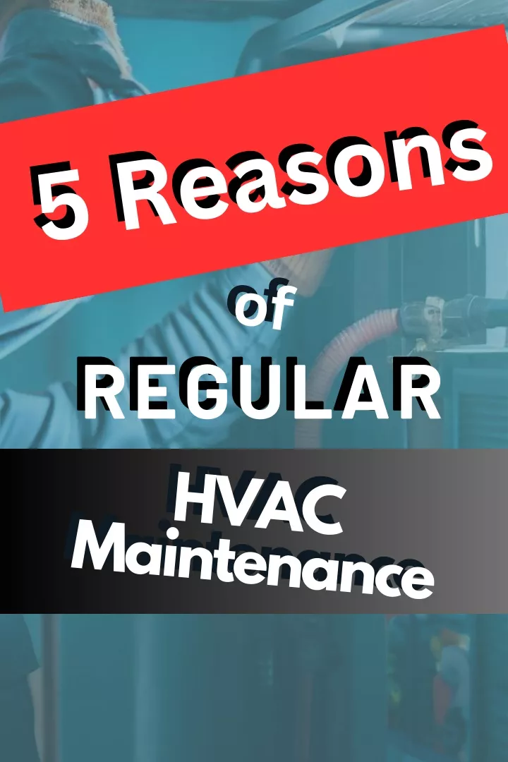 5 reasons of regular regular