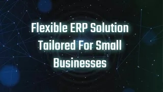 flexible erp solution tailored for small