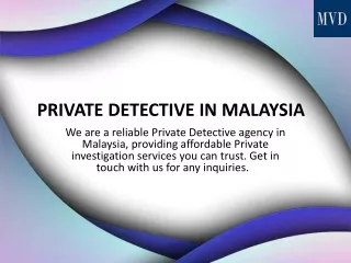 Private Detective In Malaysia