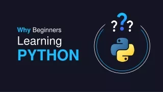 Top 8 Reasons to Learn Python