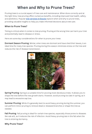 When and Why to Prune Trees