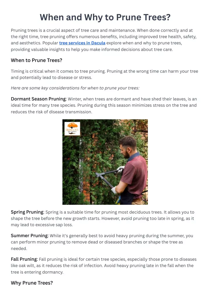 when and why to prune trees