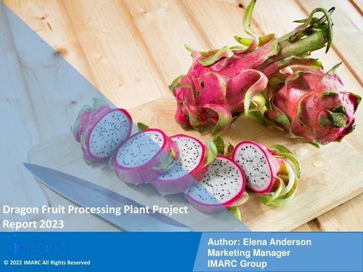 dragon fruit processing plant project report 2023