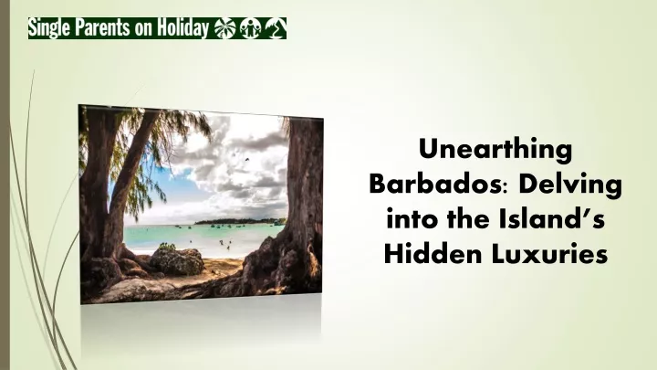 unearthing barbados delving into the island