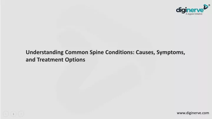 understanding common spine conditions causes