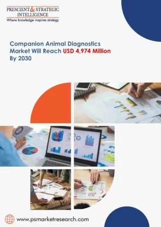 Companion Animal Diagnostics Market Share, Development and Demand Forecast to 2030