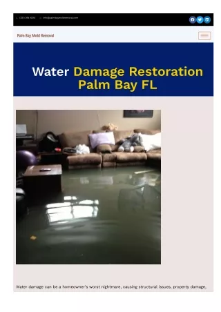 water mitigation palm bay