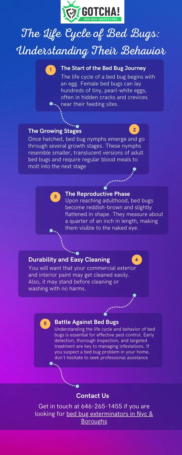 the life cycle of bed bugs understanding their