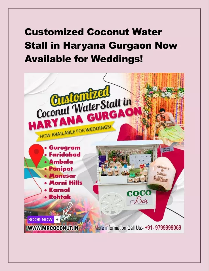 customized coconut water stall in haryana gurgaon