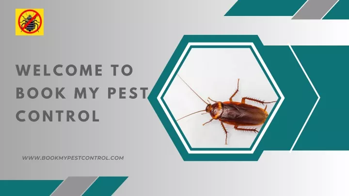 welcome to book my pest control