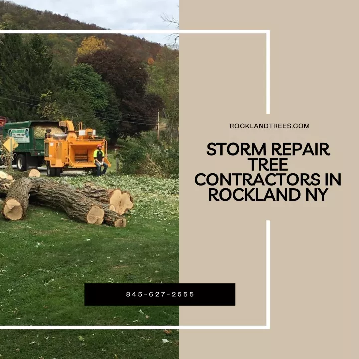 rocklandtrees com storm repair tree contractors