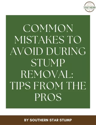 Common Mistakes to Avoid During Stump Removal:  Tips from the Pros