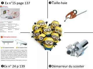 t aille haie