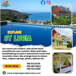 Best Vacation Rental in St lucia