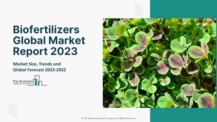 biofertilizers global market report 2023