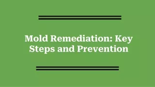 Mold Remediation_ Key Steps and Prevention