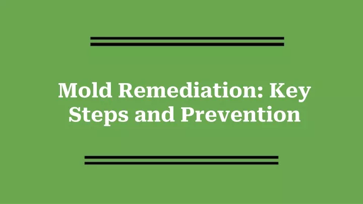 mold remediation key steps and prevention