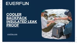 Cooler Backpack Insulated Leak Proof