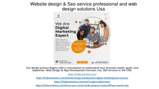 Website design & Seo service professional Usa