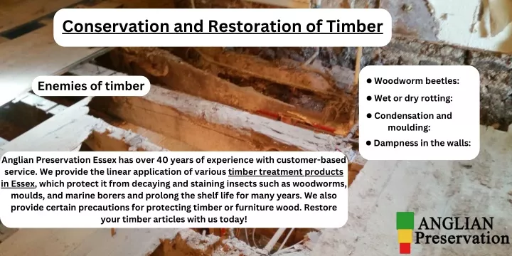 conservation and restoration of timber