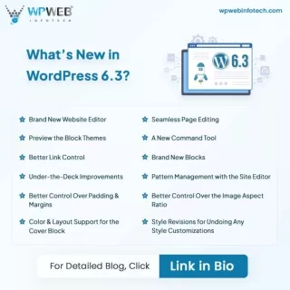 What’s New in WordPress 6.3