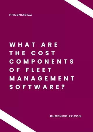What are the Cost Components of Fleet Management Software?