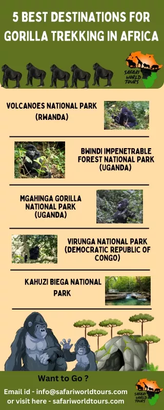 Best Africa Safari Tours - Gorilla Trekking